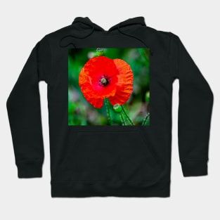 We Shall Remember Hoodie